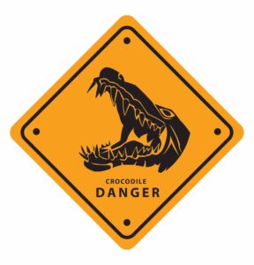 Crocodile Danger